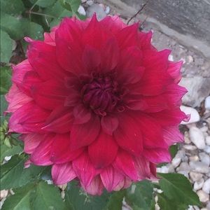 Meet your Posher, Lara